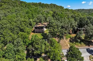 161 River Rock Ln, Blue Ridge, GA 30513 - Photo 93
