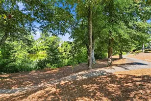 329 McDaniel Pl, Canton, GA 30115 - Photo 63