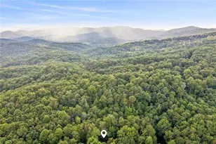 889 Granny Branch Drive, Blue Ridge, GA 30513 - Photo 41