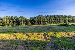 8410 Cleckler Rd, Palmetto, GA 30268 - Photo 47
