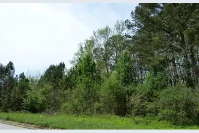 204 Benefield Court, Stockbridge, GA 30281 - Photo 9