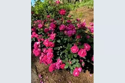 [Address not provided], Brookhaven, GA 30341 - Photo 51