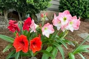 [Address not provided], Brookhaven, GA 30341 - Photo 51