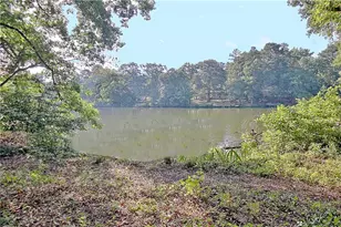 45 North Dr, Hampton, GA 30228 - Photo 83