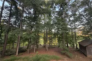 3767 US Hwy 27, Buchanan, GA 30113 - Photo 43