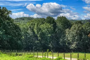 2703 Hwy 382W, Ellijay, GA 30540 - Photo 59