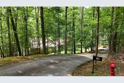 187 Still Water Way, Demorest, GA 30535 - Photo 5