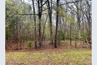 0 Walker Mountain Road SW, Rome, GA 30161 - Photo 11