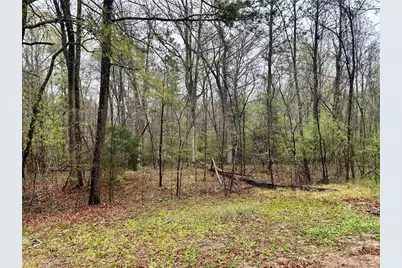 0 Walker Mountain Road SW, Rome, GA 30161 - Photo 3