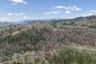 496 Meadow Ln, Talking Rock, GA 30175 - Photo 51