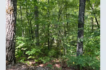 Lot 7 Forest Canopy Way, Clayton, GA 30525 - Photo 5