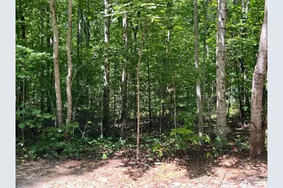 Lot 7 Forest Canopy Way, Clayton, GA 30525 - Photo 1