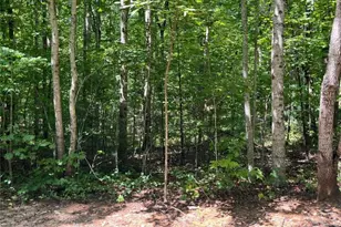 Lot 7 Forest Canopy Way, Clayton, GA 30525 - Photo 1