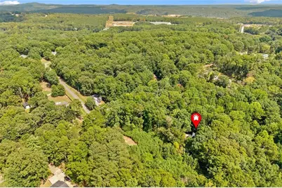 439 Fairview Road, Ball Ground, GA 30107 - Photo 43
