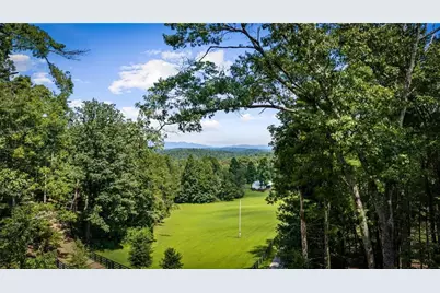 60 Oasis Drive, Blue Ridge, GA 30513 - Photo 11