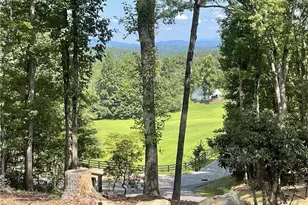 60 Oasis Dr, Blue Ridge, GA 30513 - Photo 13