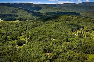60 Oasis Dr, Blue Ridge, GA 30513 - Photo 93