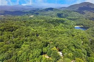 778 Walnut Mountain Rd, Ellijay, GA 30536 - Photo 45