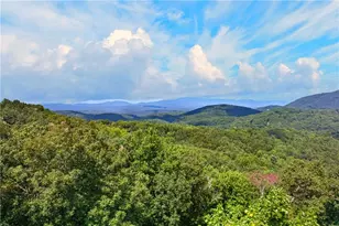 778 Walnut Mountain Rd, Ellijay, GA 30536 - Photo 11