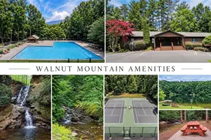 778 Walnut Mountain Rd, Ellijay, GA 30536 - Photo 47