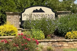 2456 Hidden Creek Rd, Kennesaw, GA 30152 - Photo 29