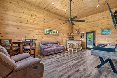 113 Downy Road, Blue Ridge, GA 30513 - Photo 43