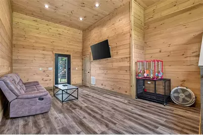 113 Downy Road, Blue Ridge, GA 30513 - Photo 45