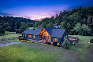 113 Downy Rd, Blue Ridge, GA 30513 - Photo 1