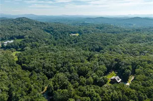 31 Highland Hammock Dr Dr, Blue Ridge, GA 30513 - Photo 53