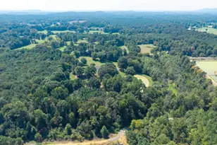 437 Goat Rd, Resaca, GA 30735 - Photo 33