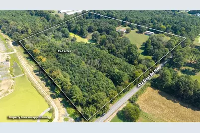 437 Goat Road, Resaca, GA 30735 - Photo 37
