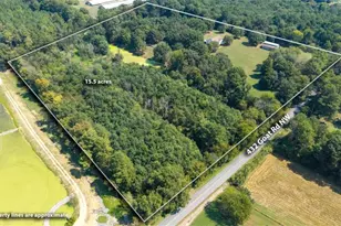 437 Goat Rd, Resaca, GA 30735 - Photo 37