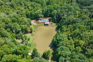 260 Observation Ln, Blue Ridge, GA 30513 - Photo 47