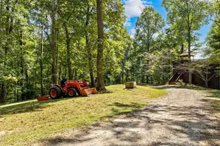 260 Observation Ln, Blue Ridge, GA 30513 - Photo 59