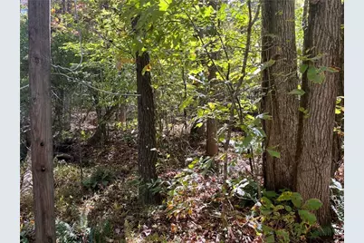 0 Little Mountain Road, Dahlonega, GA 30533 - Photo 5