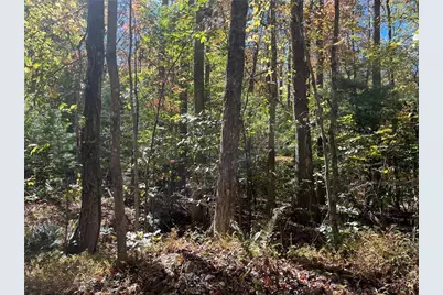 0 Little Mountain Road, Dahlonega, GA 30533 - Photo 3
