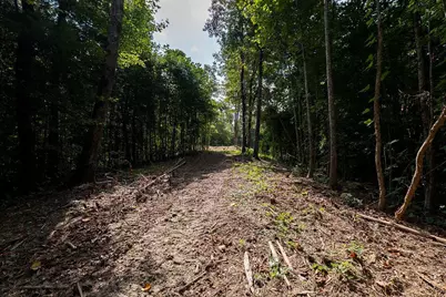 3280 Old Burnt Mountain Road Road, Jasper, GA 30143 - Photo 15