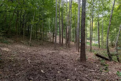 3280 Old Burnt Mountain Road Road, Jasper, GA 30143 - Photo 19