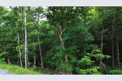 Lot 6 Allaire Lane, Mineral Bluff, GA 30559 - Photo 3