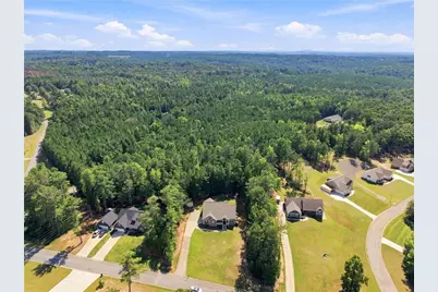 30 Willow Leaf Drive, Buchanan, GA 30113 - Photo 47