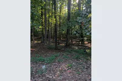 205 Shefield Place, Douglasville, GA 30134 - Photo 25