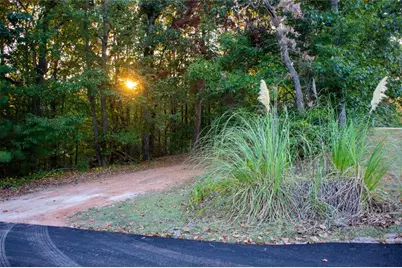 81 Cherokee Trail, Ball Ground, GA 30107 - Photo 35