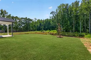 4543 Mary Ruth Way, Loganville, GA 30052 - Photo 71