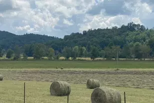 7925 State Hwy 60, Suches, GA 30572 - Photo 13