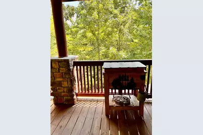 381 Laurel Ridge Drive, Ellijay, GA 30536 - Photo 21