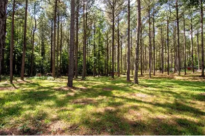 [Address not provided], Grantville, GA 30220 - Photo 41