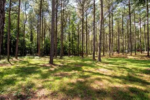[Address not provided], Grantville, GA 30220 - Photo 41