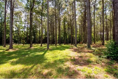 [Address not provided], Grantville, GA 30220 - Photo 39
