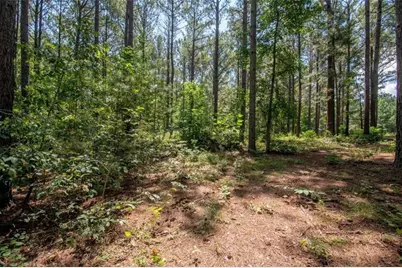 [Address not provided], Grantville, GA 30220 - Photo 45