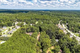 3010 Turner Church Rd, McDonough, GA 30252 - Photo 43